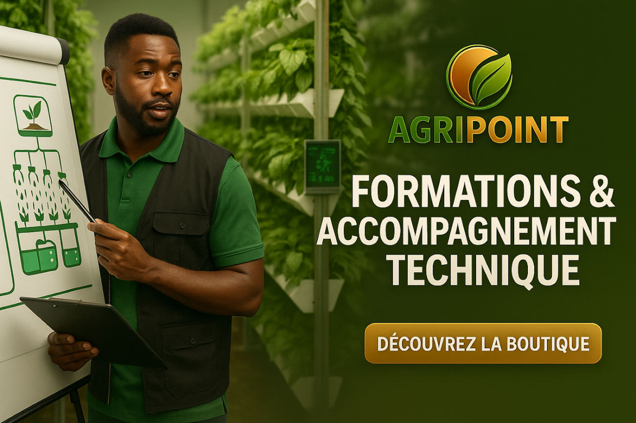 Formations